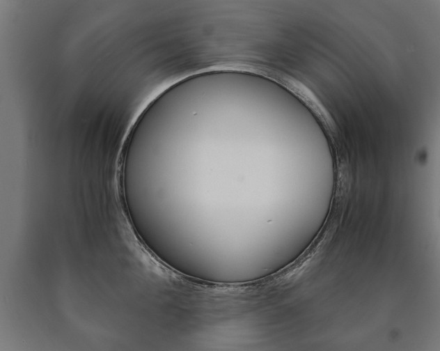 X0000090990908200708021200