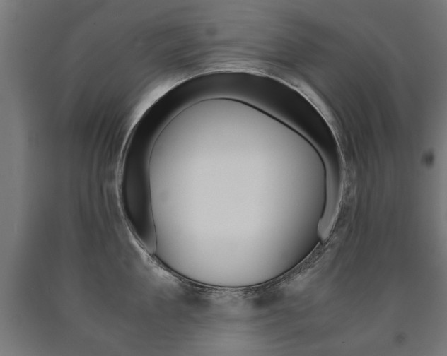 X0000090990909200708021200