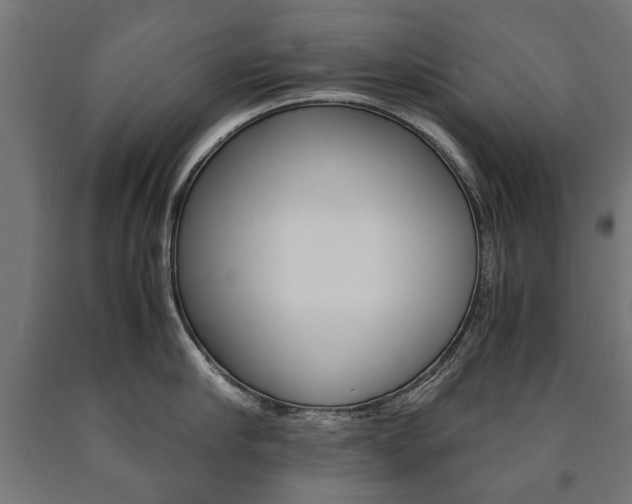 X0000090990910200708021200