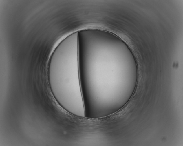 X0000090990912200708021200