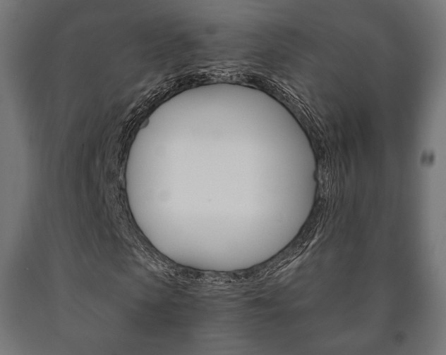 X0000090990913200708021200