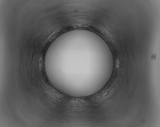 X0000090990915200708021200
