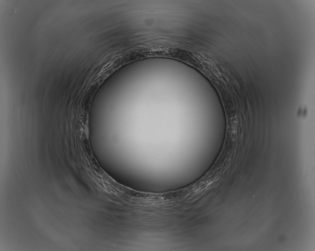 X0000090990916200708021200