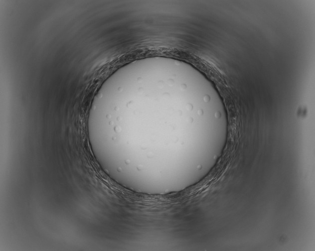 X0000090990917200708021200
