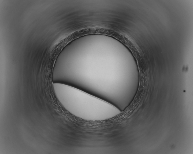 X0000090990919200708021200