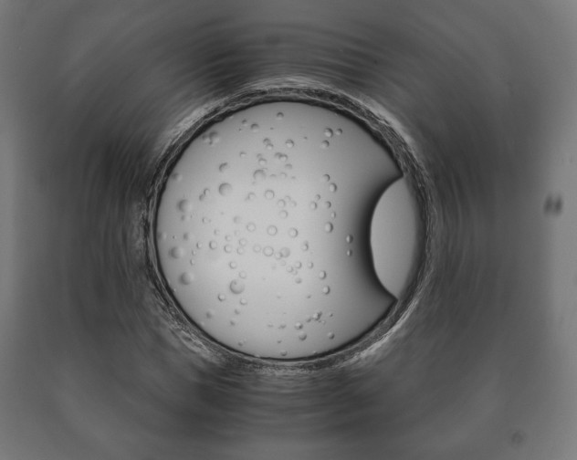 X0000090990921200708021200
