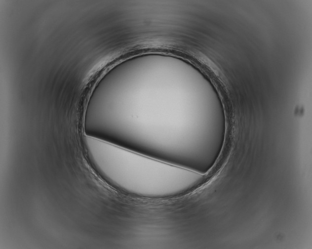 X0000090990922200708021200