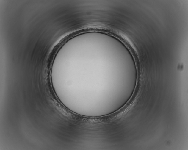 X0000090990923200708021200
