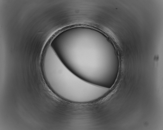 X0000090990924200708021200