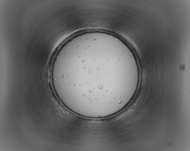 X0000090990925200708021200