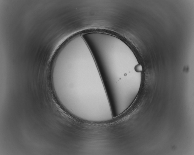 X0000090990926200708021200