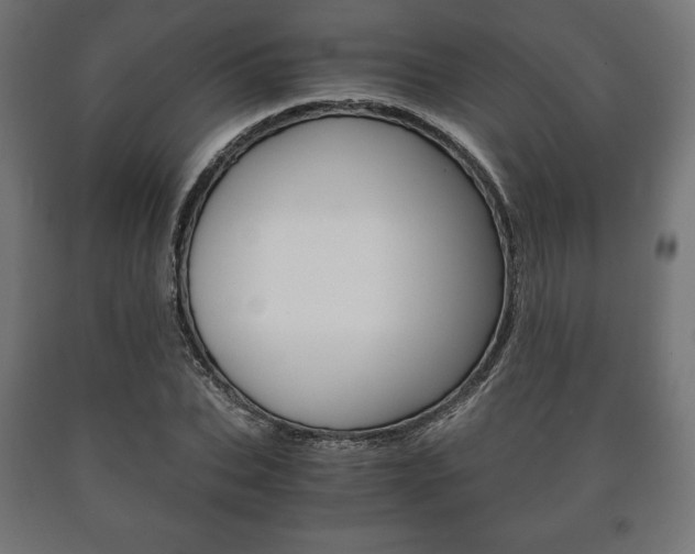 X0000090990927200708021200
