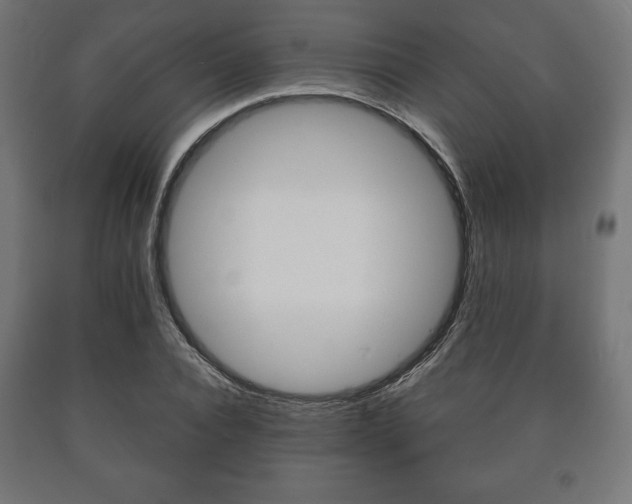 X0000090990928200708021200