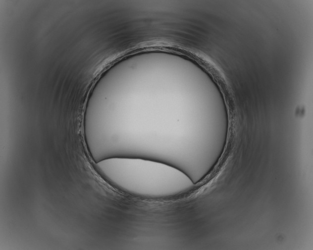 X0000090990929200708021200