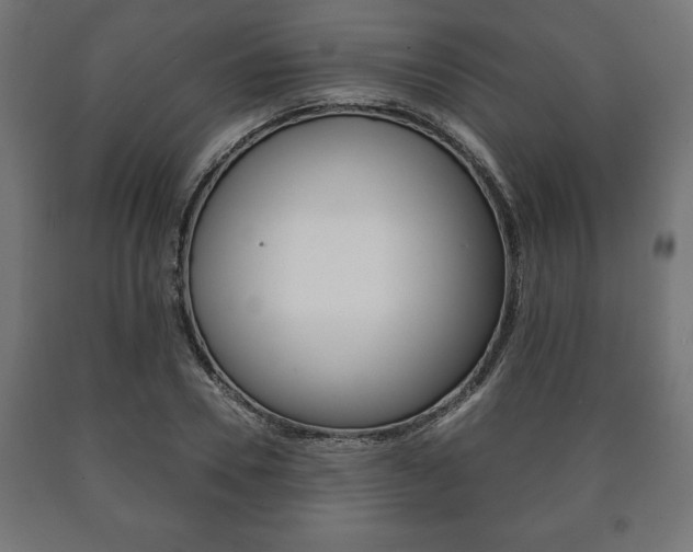 X0000090990930200708021200