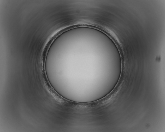 X0000090990931200708021200