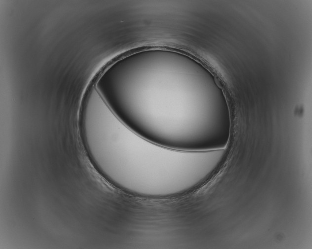 X0000090990932200708021200