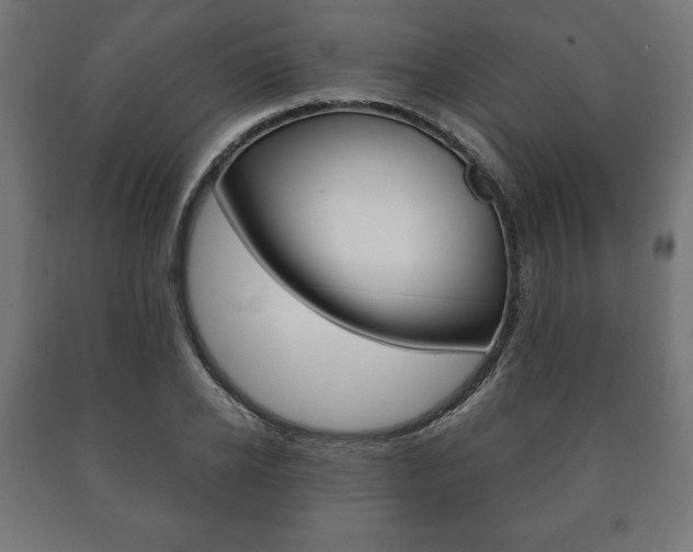 X0000090990934200708021200