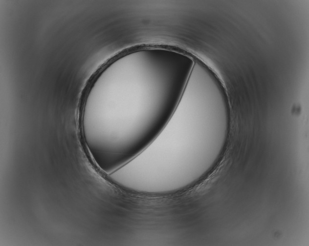 X0000090990935200708021200