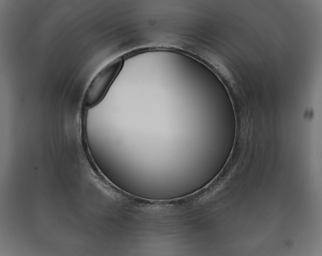 X0000090990936200708021200
