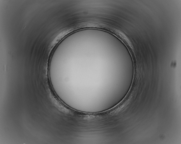 X0000090990938200708021200