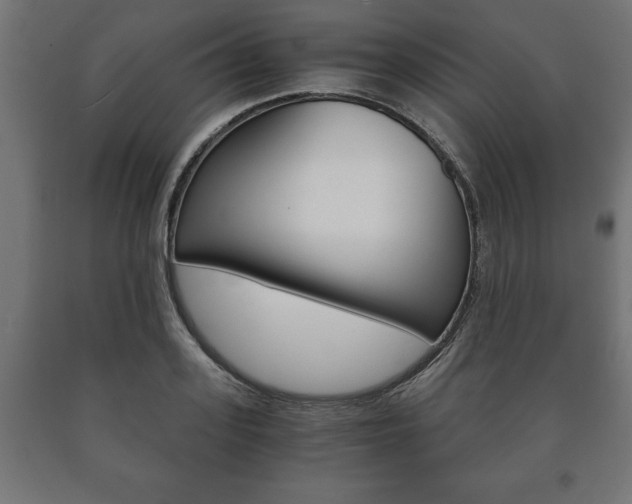 X0000090990939200708021200