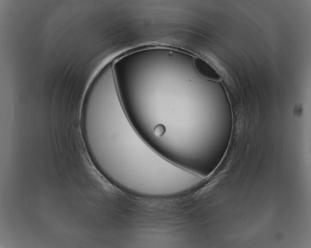 X0000090990940200708021200