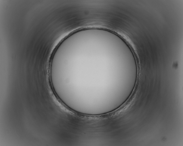 X0000090990941200708021200