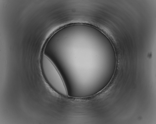 X0000090990942200708021200