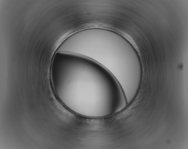X0000090990946200708021200