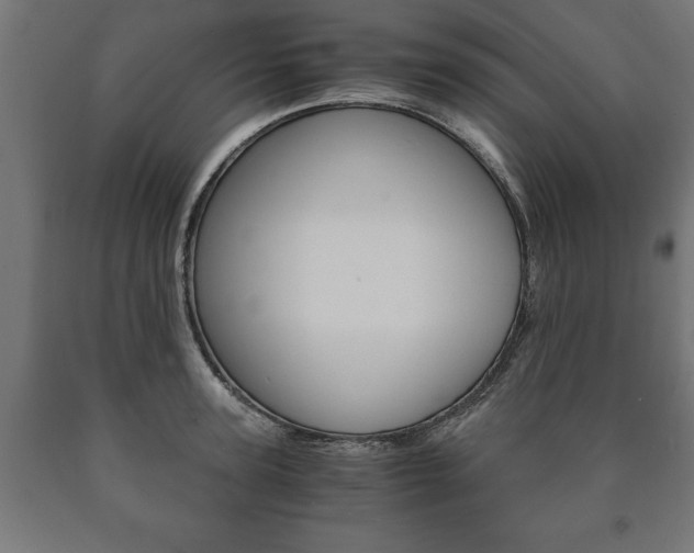 X0000090990947200708021200