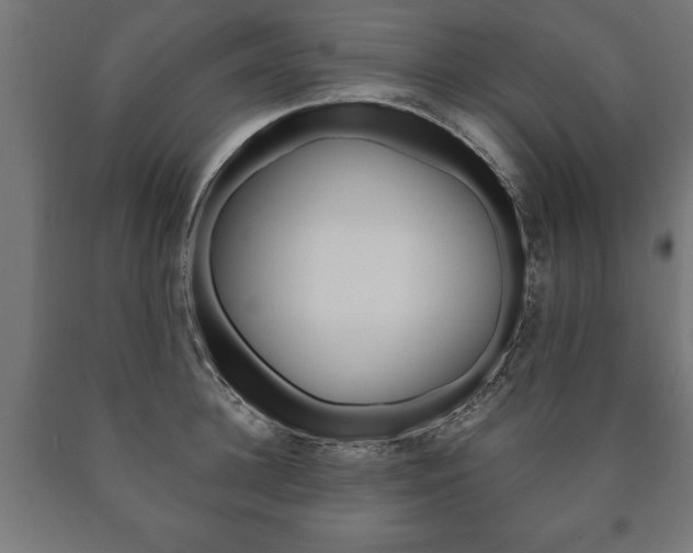 X0000090990948200708021200