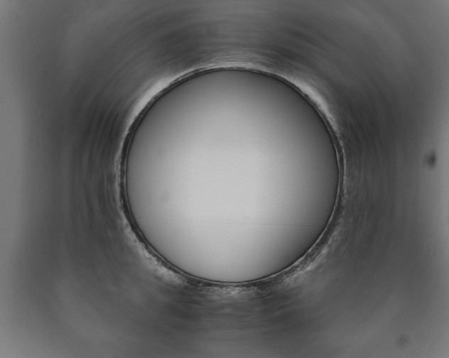 X0000090990949200708021200