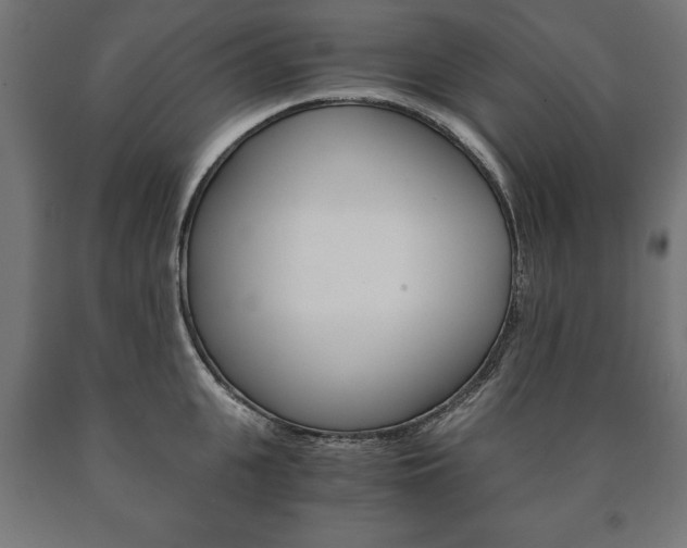 X0000090990951200708021200