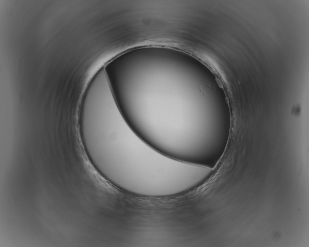X0000090990952200708021200