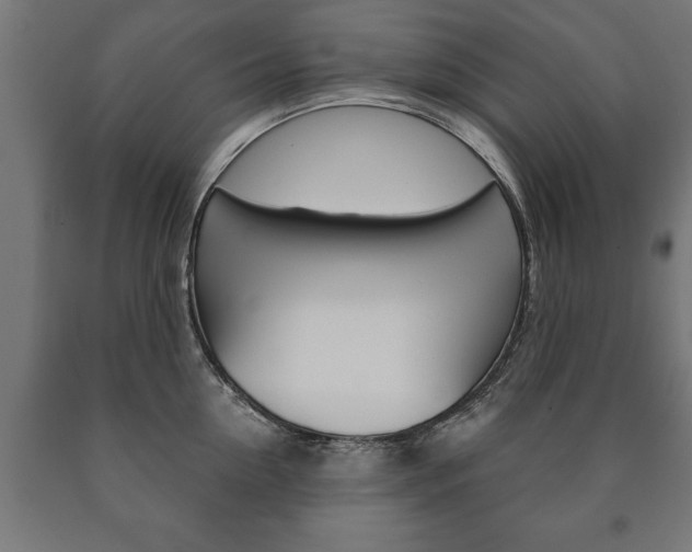 X0000090990954200708021200