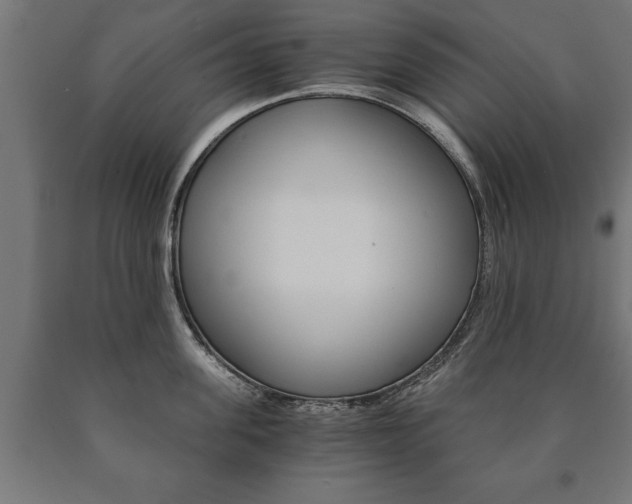 X0000090990955200708021200
