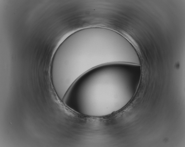 X0000090990956200708021200