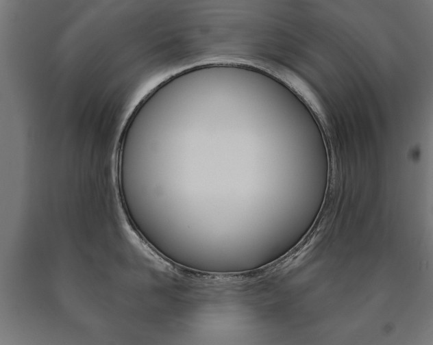 X0000090990958200708021200