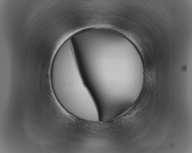 X0000090990959200708021200
