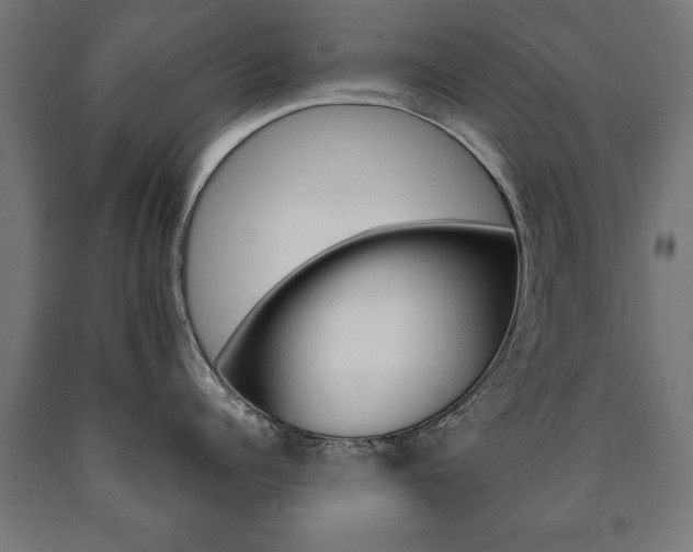 X0000090990960200708021200