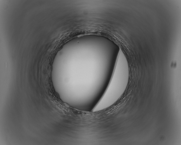 X0000090990961200708021200