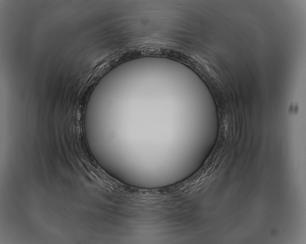 X0000090990964200708021159