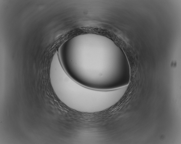 X0000090990965200708021159