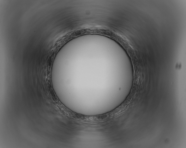 X0000090990966200708021159