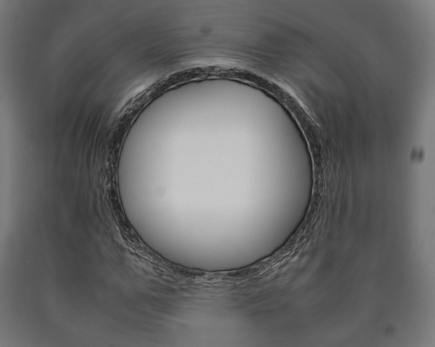 X0000090990967200708021159