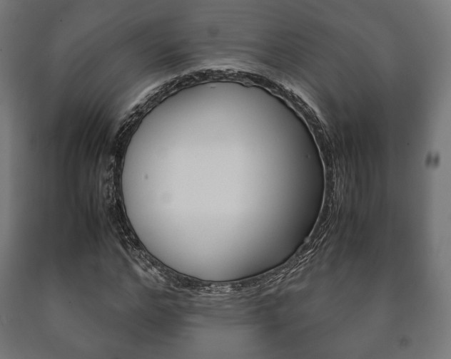 X0000090990968200708021159