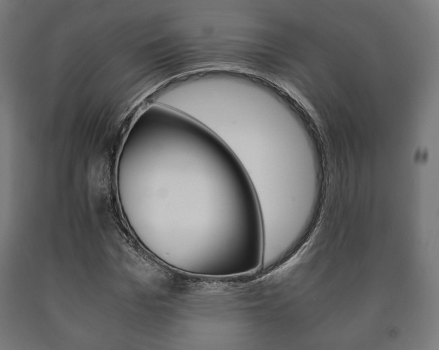 X0000090990969200708021159