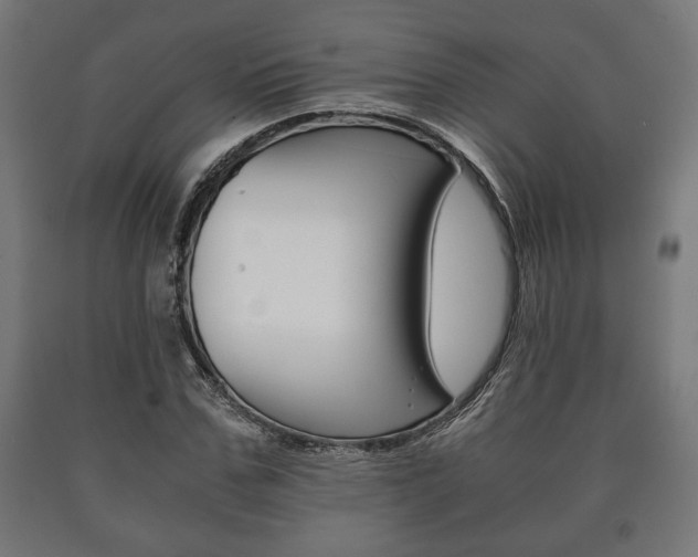 X0000090990971200708021159