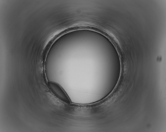 X0000090990973200708021159